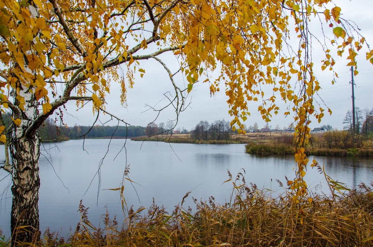 Что стоишь качаясь.. - Галина Ложечникова