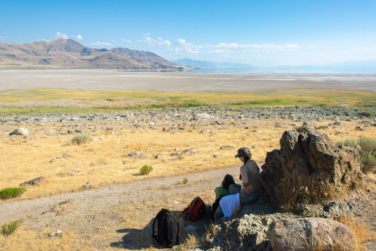 Жара - **** vedin