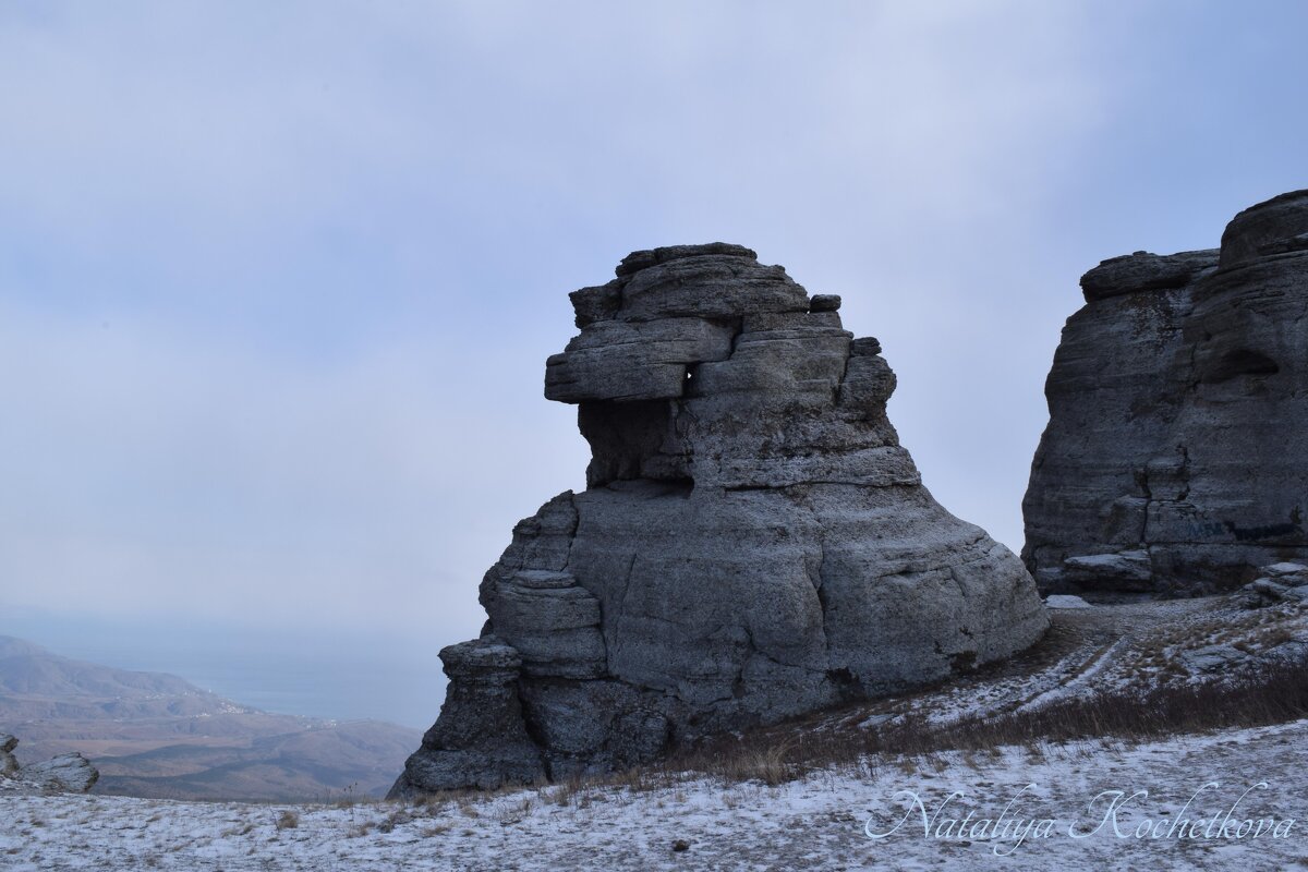 Природа Крыма - Amazing Cosmea