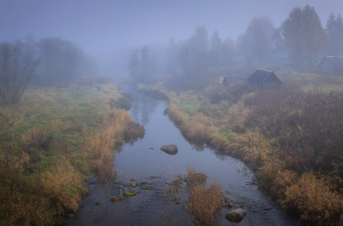 **** - Елизавета .