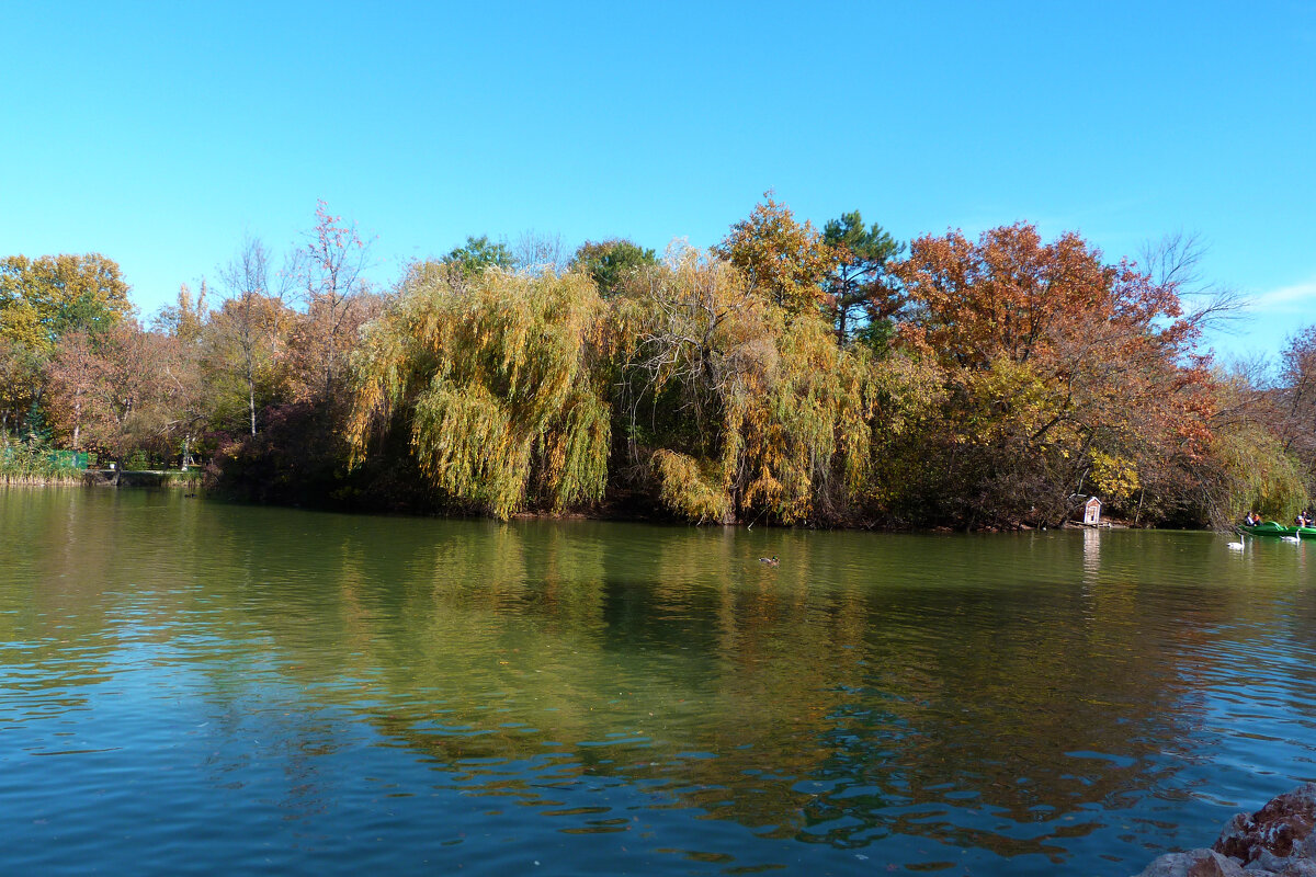 Пейзажи  Гагаринского  парка - Валентин Семчишин