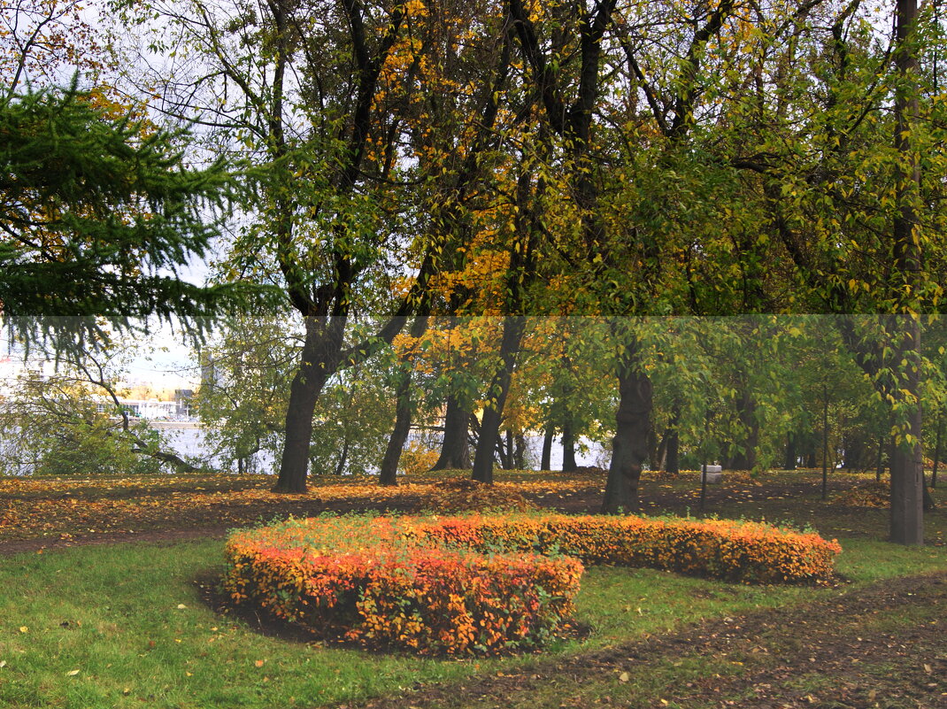 ЗНАК ОСЕНИ - Виктор Никитенко