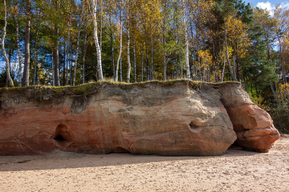 *** - Геннадий Порохов