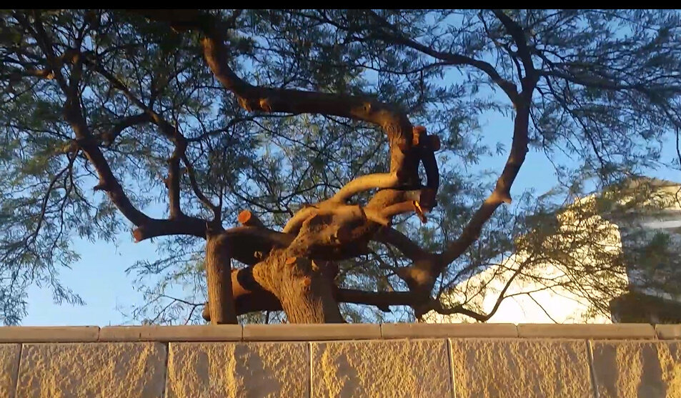 114 (87) - CLOSE WAYS ALL