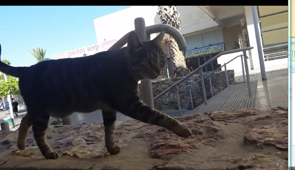 114 (89) - CLOSE WAYS ALL