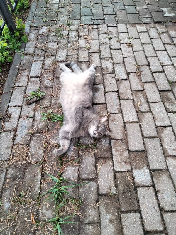 обитатели монастыря - Галина R...