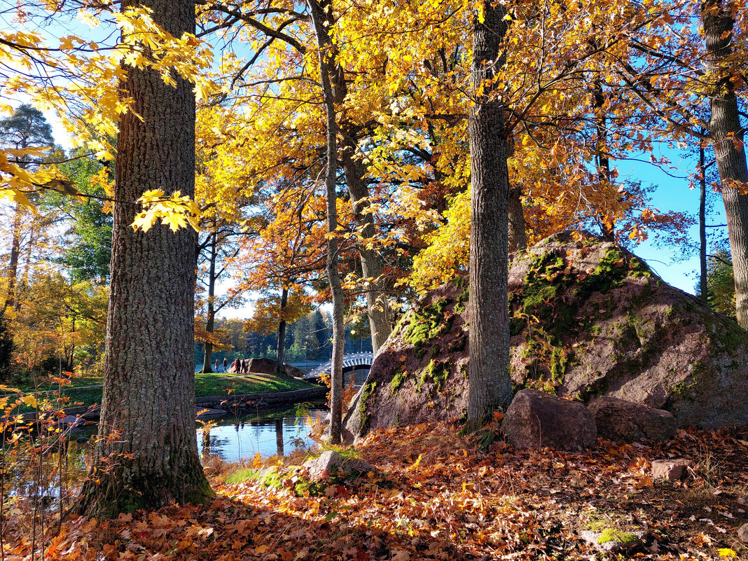 Монрепо - Ирина Румянцева Монрепо - Ирина Румянцева