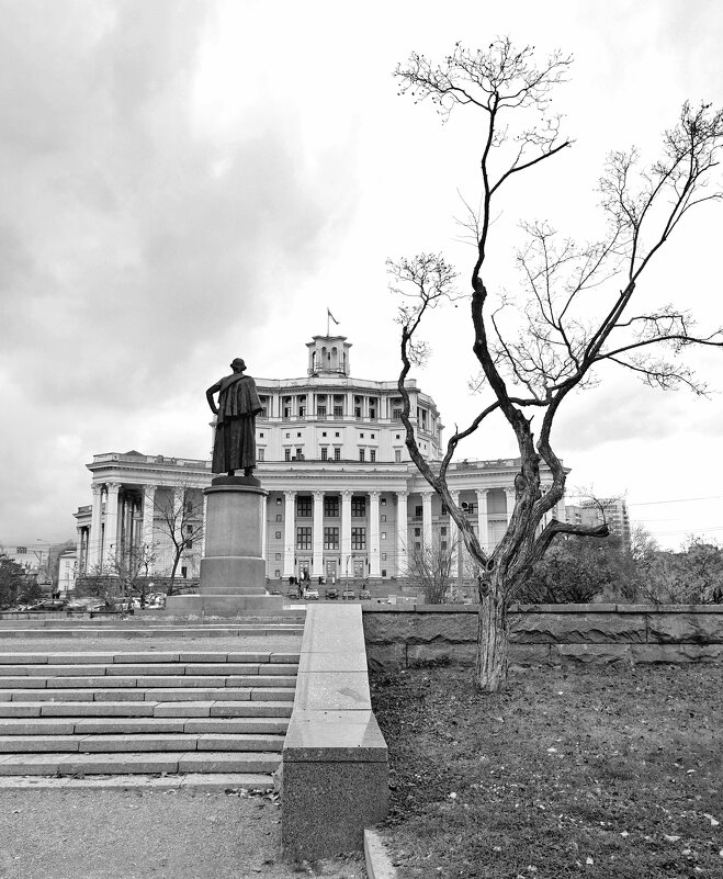 Черно-белая фотография - Любимова Ольга 