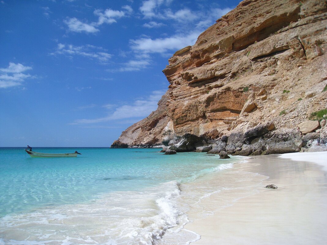 На Сокотре. - unix (Илья Утропов)