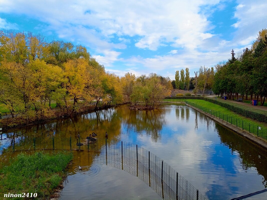 Октябрь в ростовском зоопарке - Нина Бутко