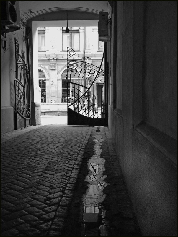 Когда ворота не закрыты... - Наталья Rosenwasser Когда ворота не закрыты... - Наталья Rosenwasser