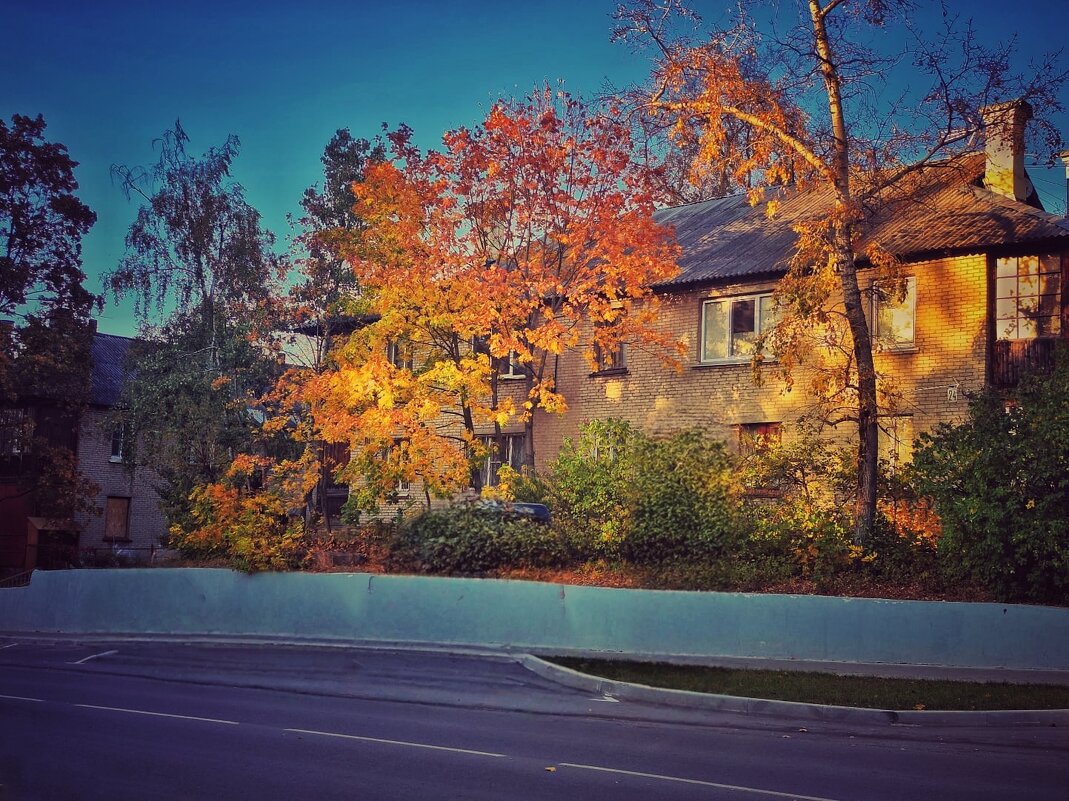 ***** - Алексей Архипов