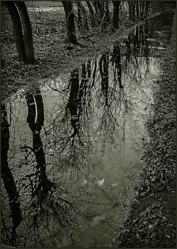 Осенняя канавка... - Наталья Rosenwasser