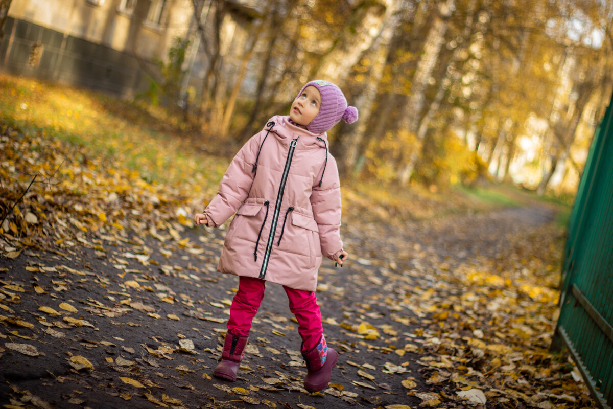 Осень, осень... - Елена Cолодагина
