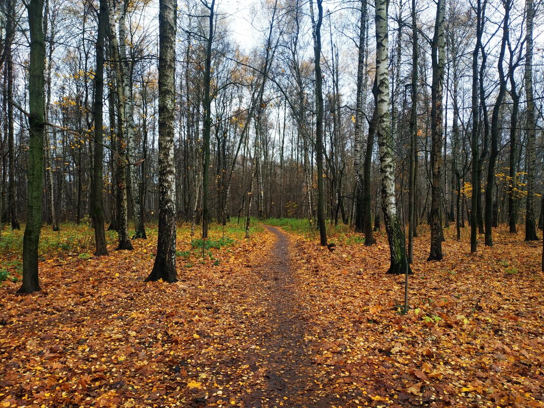 Глубокая осень в Москве - Андрей Лукьянов