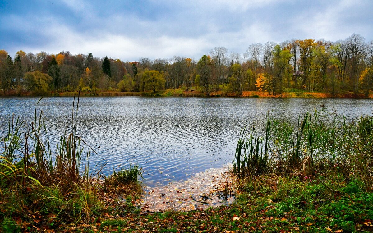 Озёра Смоленщины - Милешкин Владимир Алексеевич 