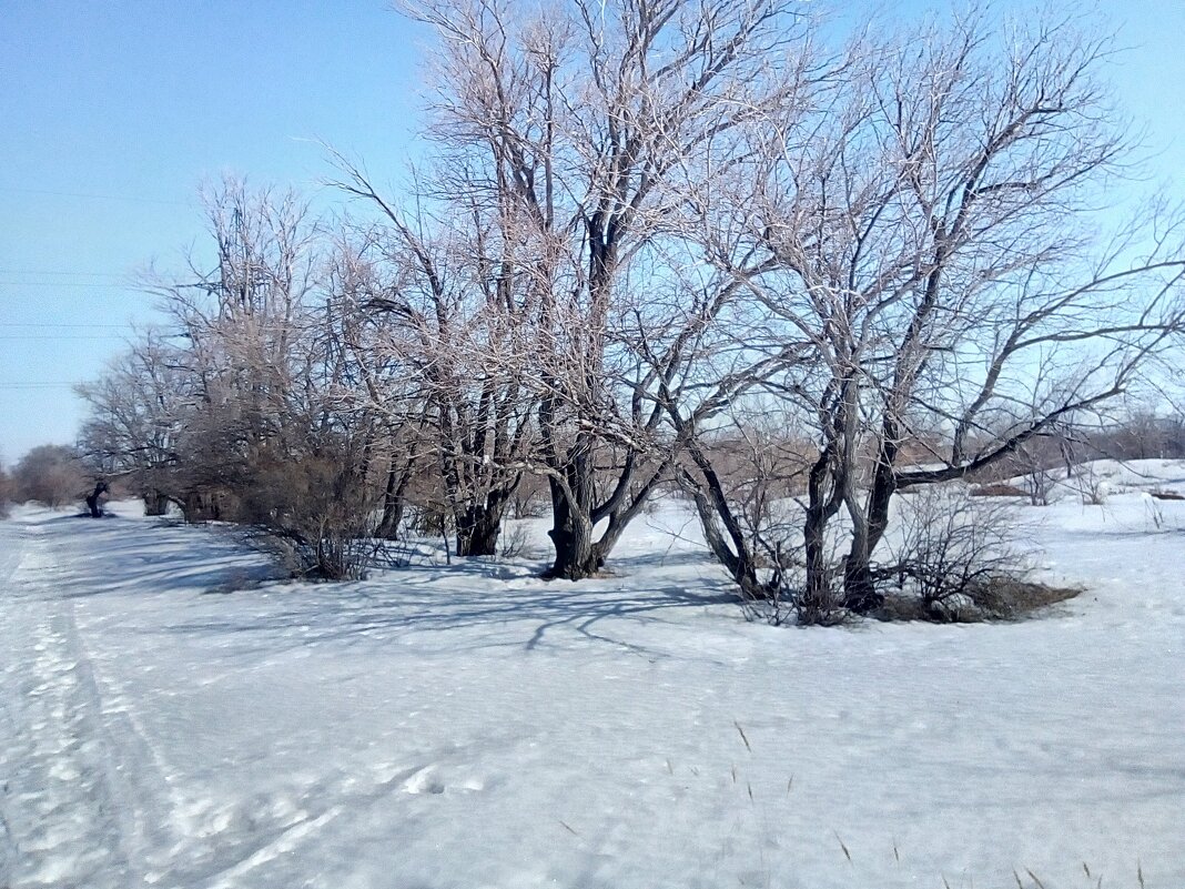 Зимний день - Георгиевич Зимний день - Георгиевич