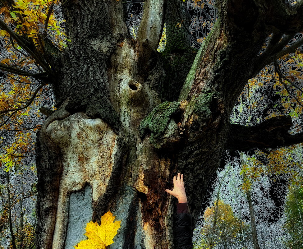 Из Иннокентия Анненского - Victor Vinocurov