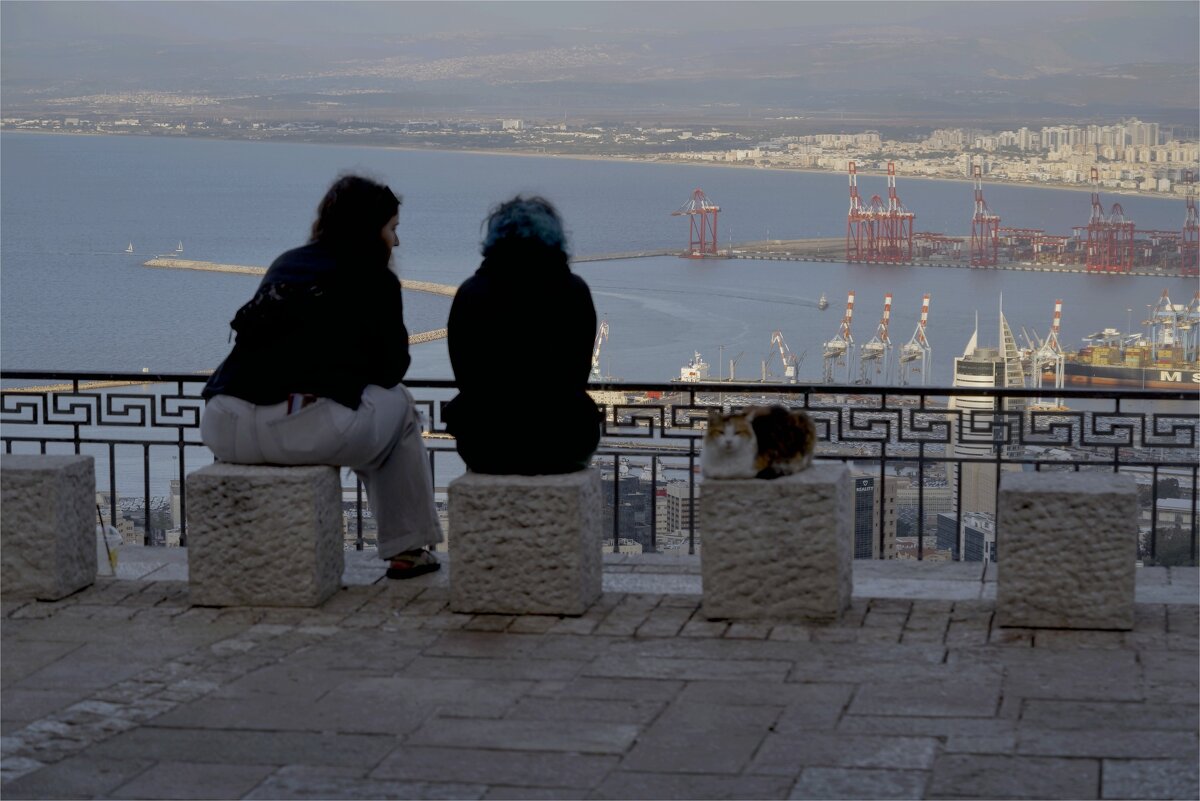 Хайфа, Израиль 29,10,2025г - ujgcvbif 