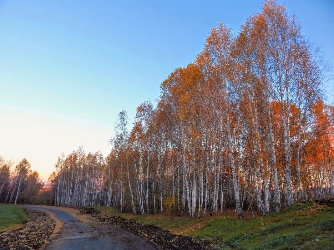 Дорога в прекрасное далёко! - Елена Хайдукова  ( Elena Fly )