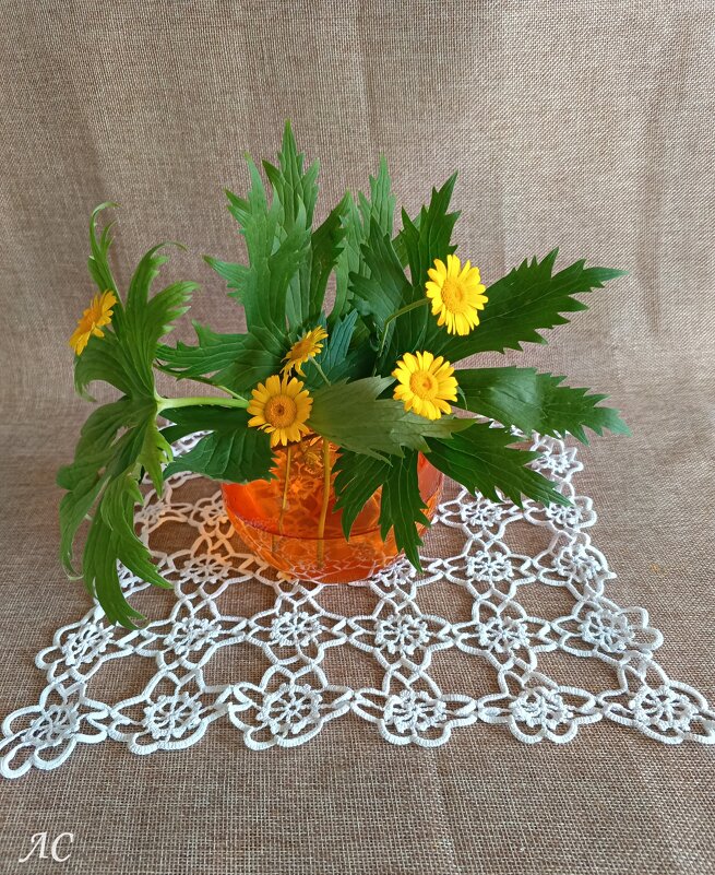 *** - Любовь Сахарова