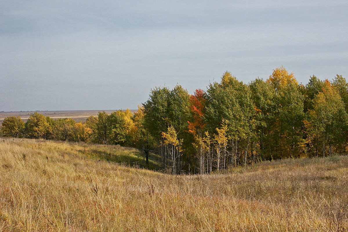 Осень - MILAV V