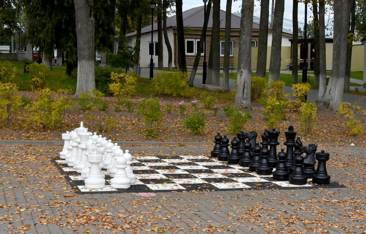 Владимирская область. Город Александров. - Наташа *****