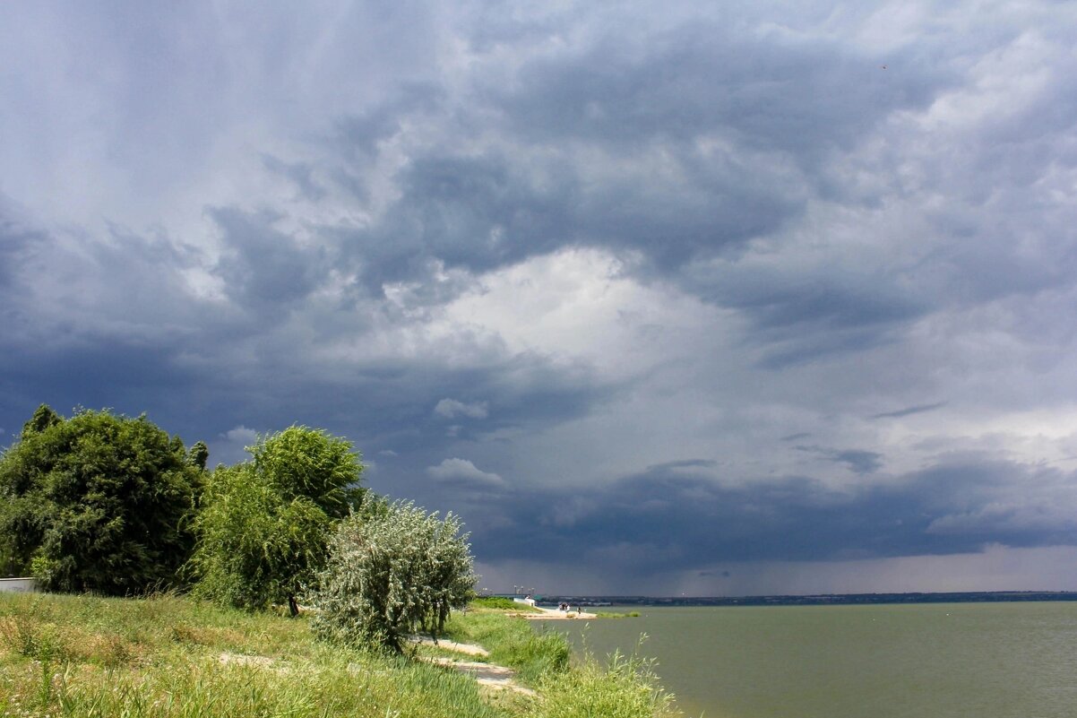 Перед дождем - Оксана Новик 
