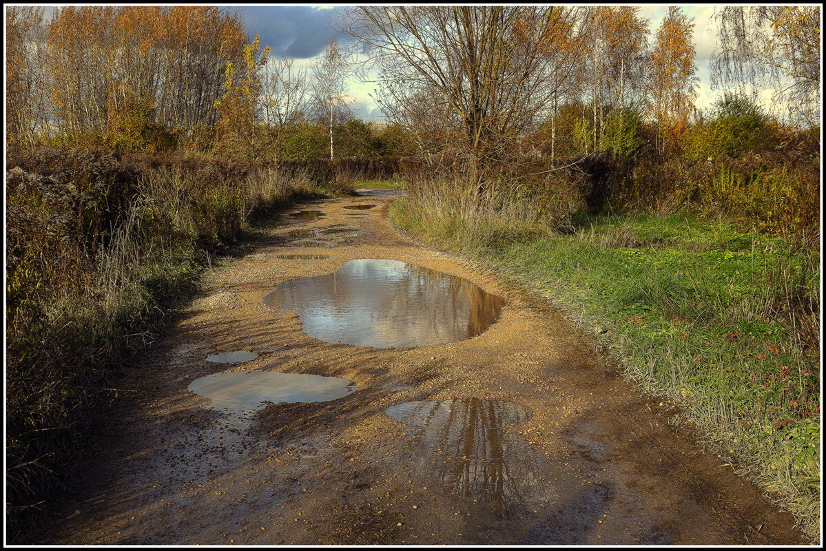 После дождя.... - Aleksandr Gal