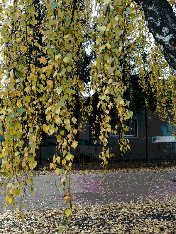 *** - Валентина Береснева