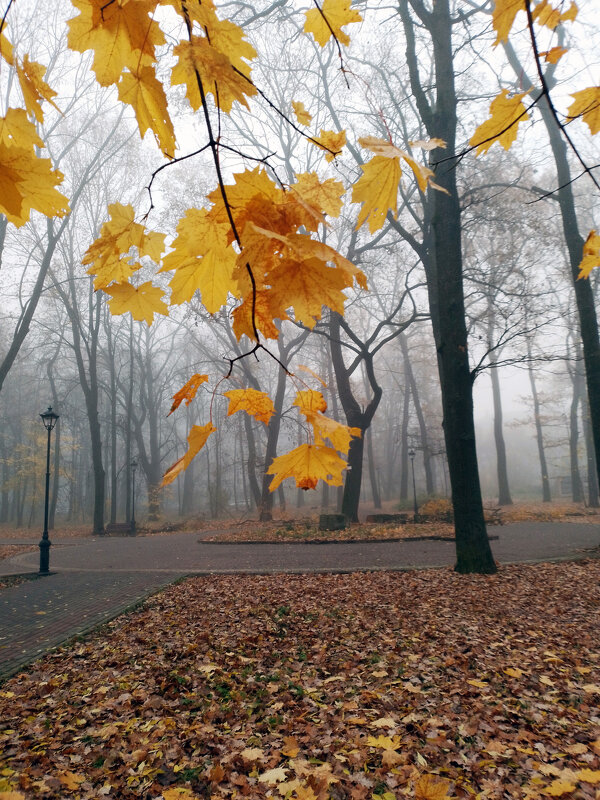 *** - Валентина Береснева *** - Валентина Береснева