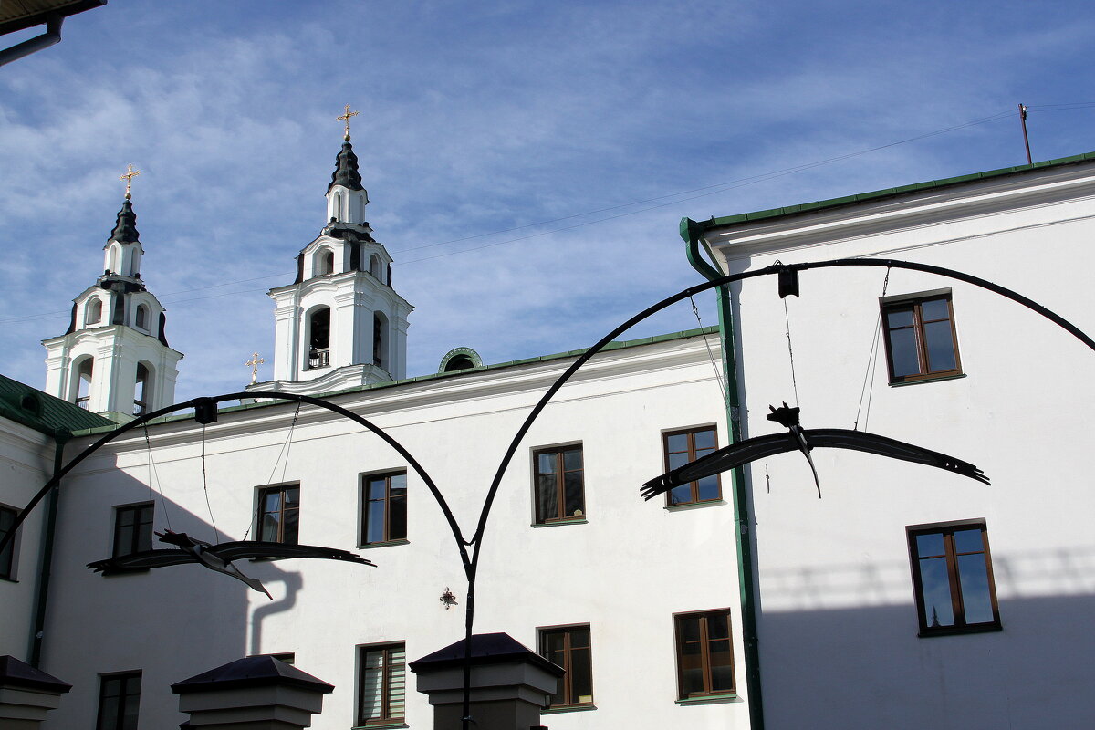 АИСТЫ - СИМВОЛ БЕЛАРУСИ - Елена Даньшина