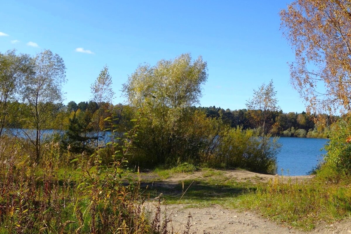 Побережье лесного озера - Рита Симонова