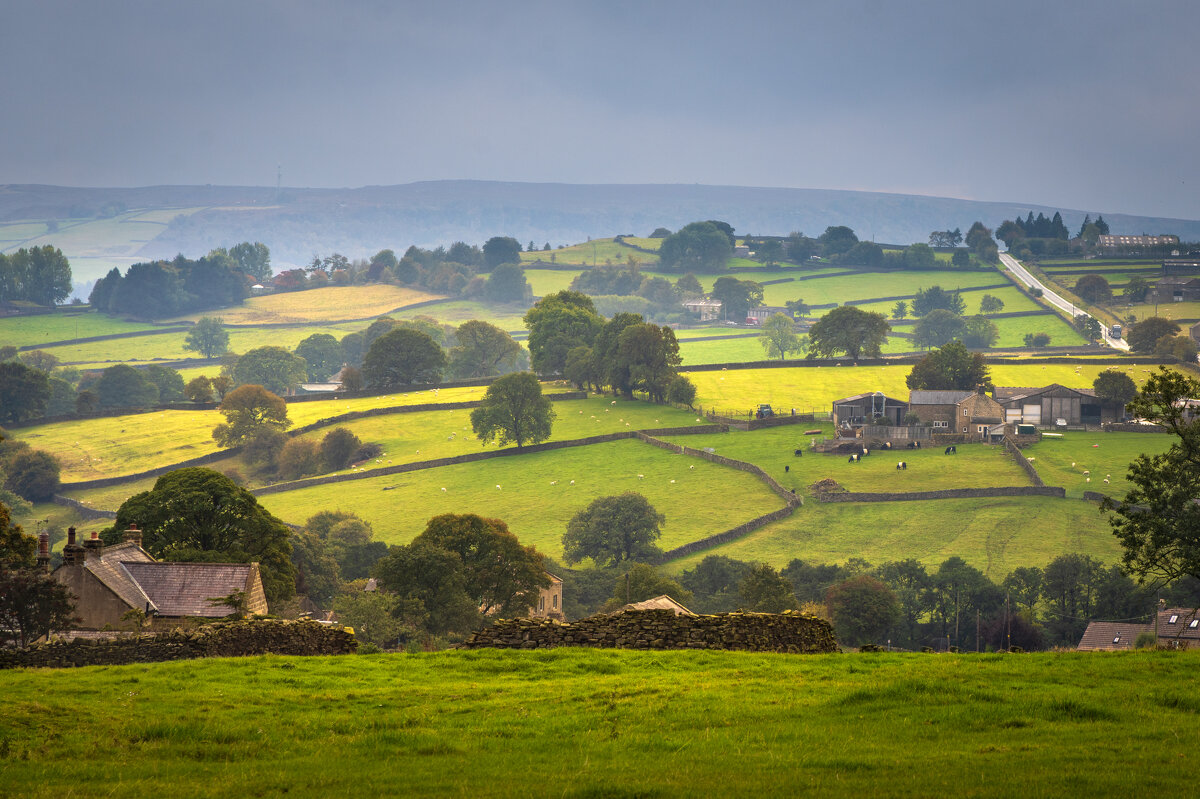 Сельский пейзаж - Алекс Римский