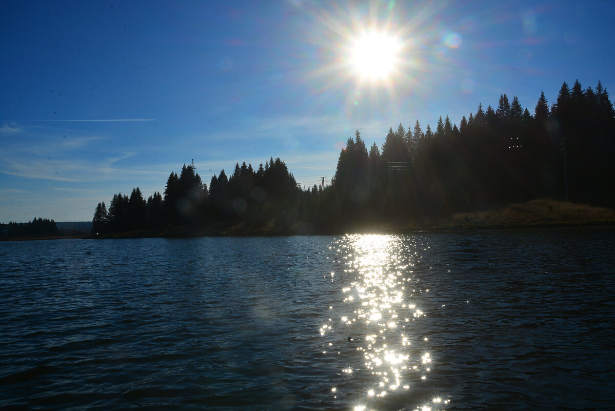 солнечная дорожка - леонид логинов