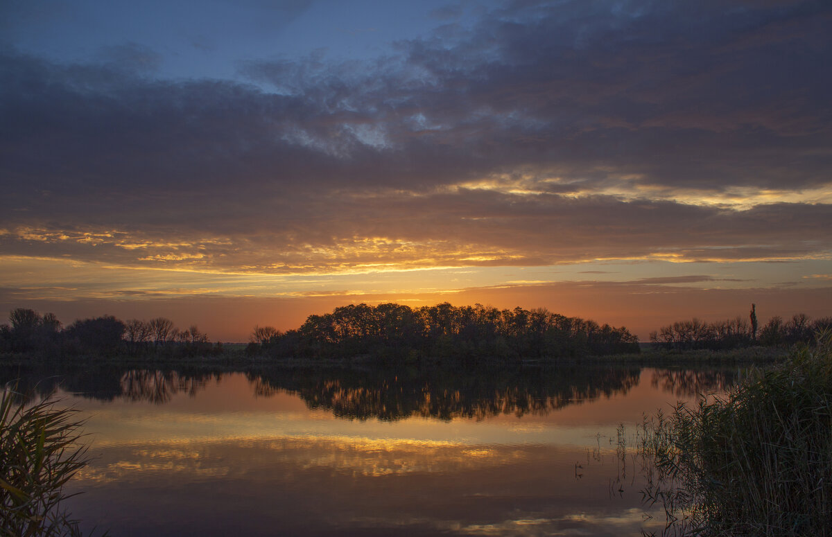 Утро. - Александр. AVG100 ---