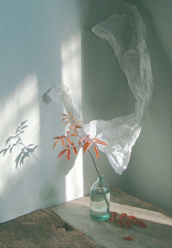 Последняя веточка - Валентина 