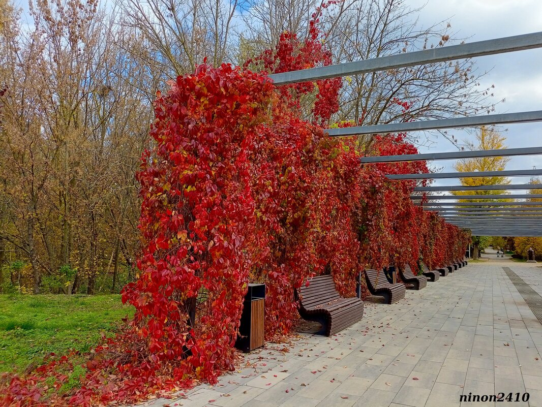 Октябрь в ростовском зоопарке - Нина Бутко Октябрь в ростовском зоопарке - Нина Бутко