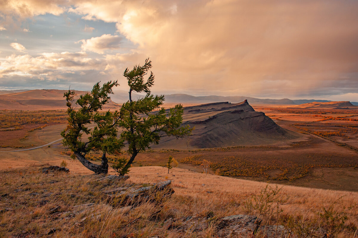 "В торжественный закат и на заре туманной Несказанной красой любуюсь я твоей..." - Сергей Герасимов "В торжественный закат и на заре туманной Несказанной красой любуюсь я твоей..." - Сергей Герасимов