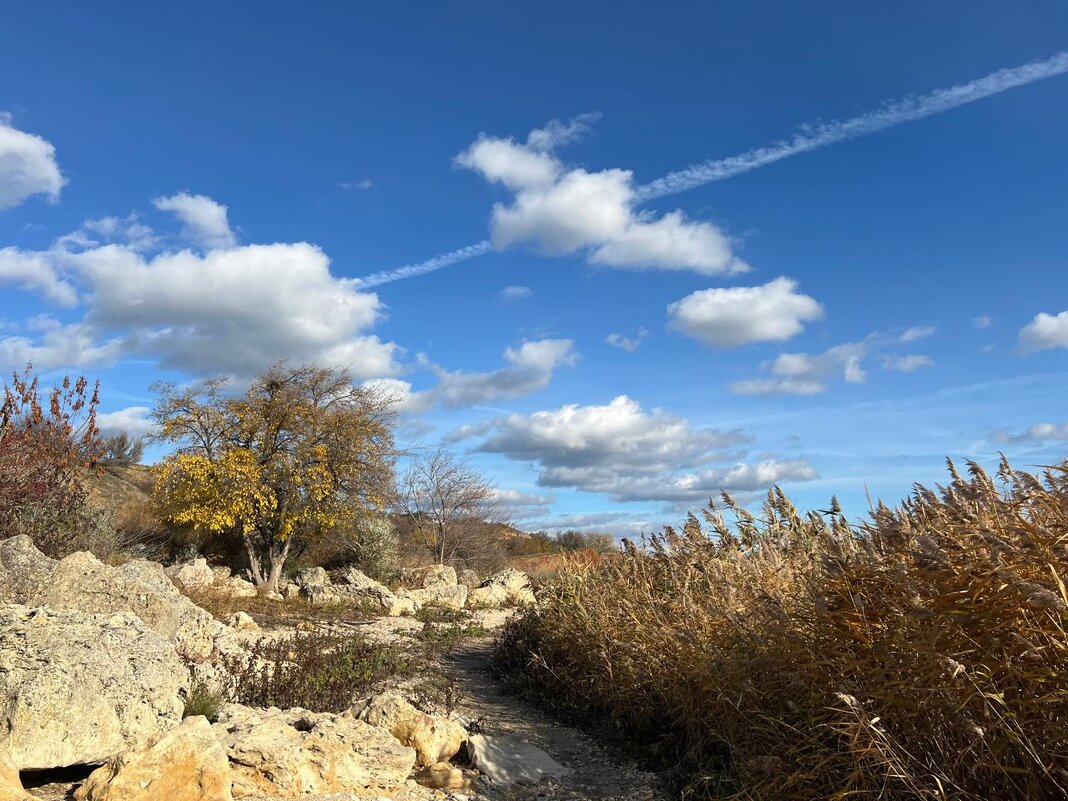 Около маяка - Оксана Новик 