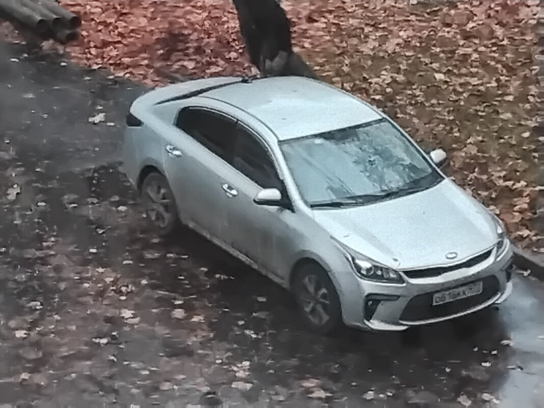 Серебристый КИА - Дмитрий Никитин