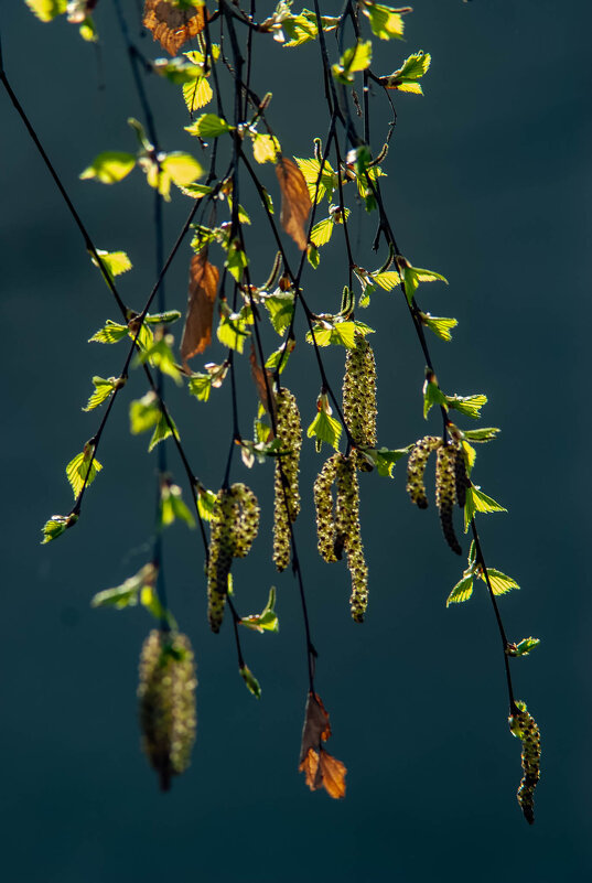 Весеннее - Владимир Иванович