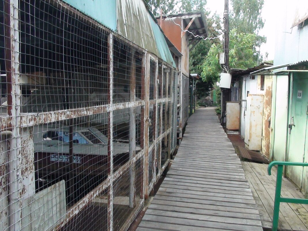 дорожка в водно моторном клубе "Глобус" - fogmeadowww m