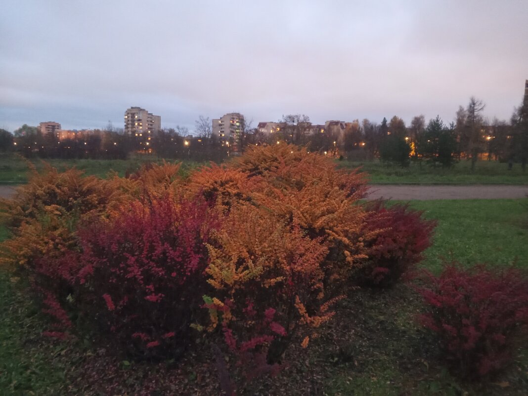 Осень - Сапсан 