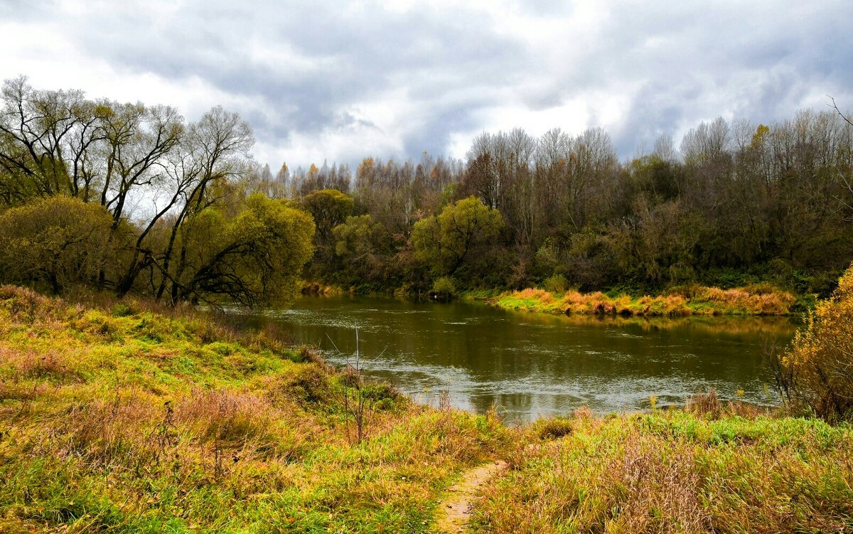 Живописный Днепр. - Милешкин Владимир Алексеевич 