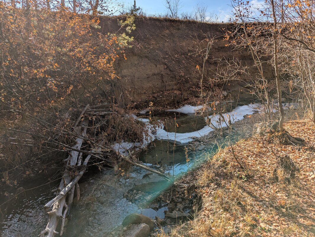 Течет речка в лесу - Андрей Хлопонин Течет речка в лесу - Андрей Хлопонин