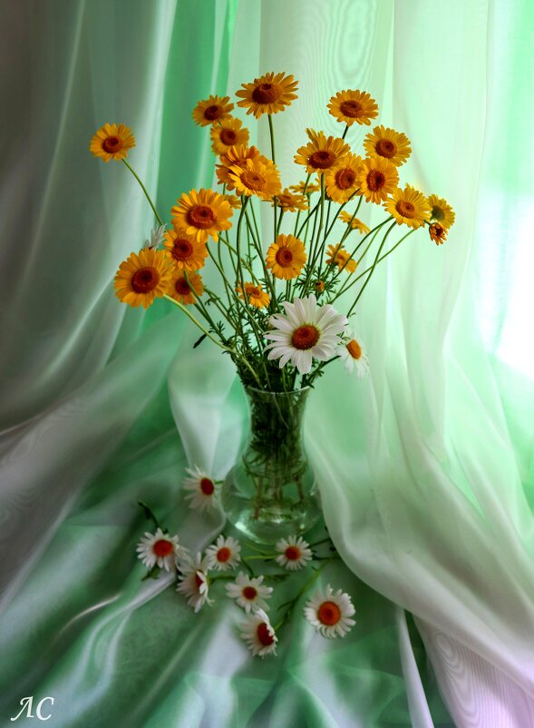 Воспоминания о лете - Любовь Сахарова