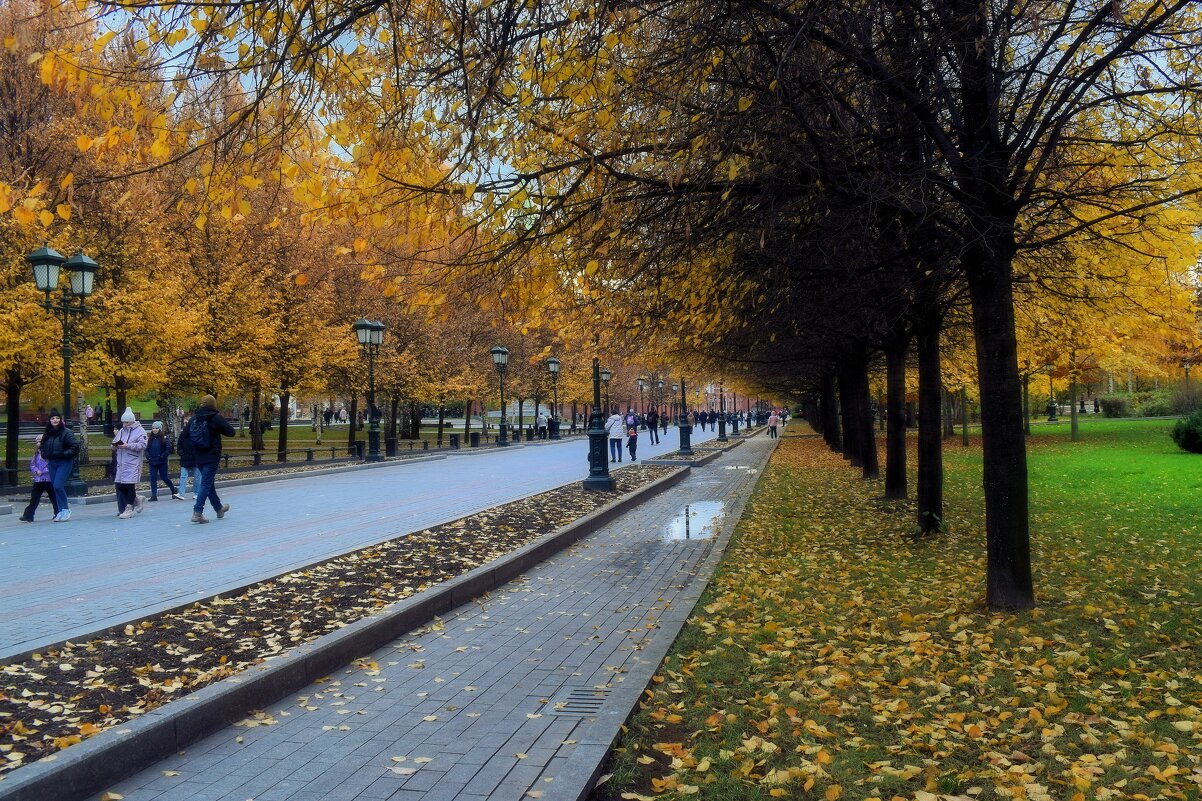 Октябрь уходит, оставляя нам яркие краски Осени. - Татьяна Помогалова