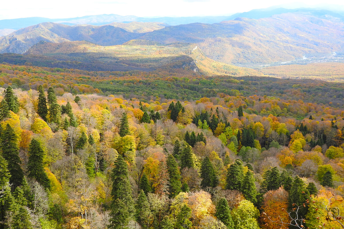 * - Юрий Словецкий