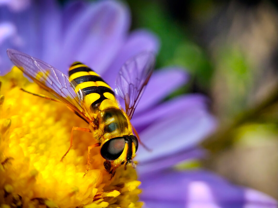 *   *   * - Уже не важно 